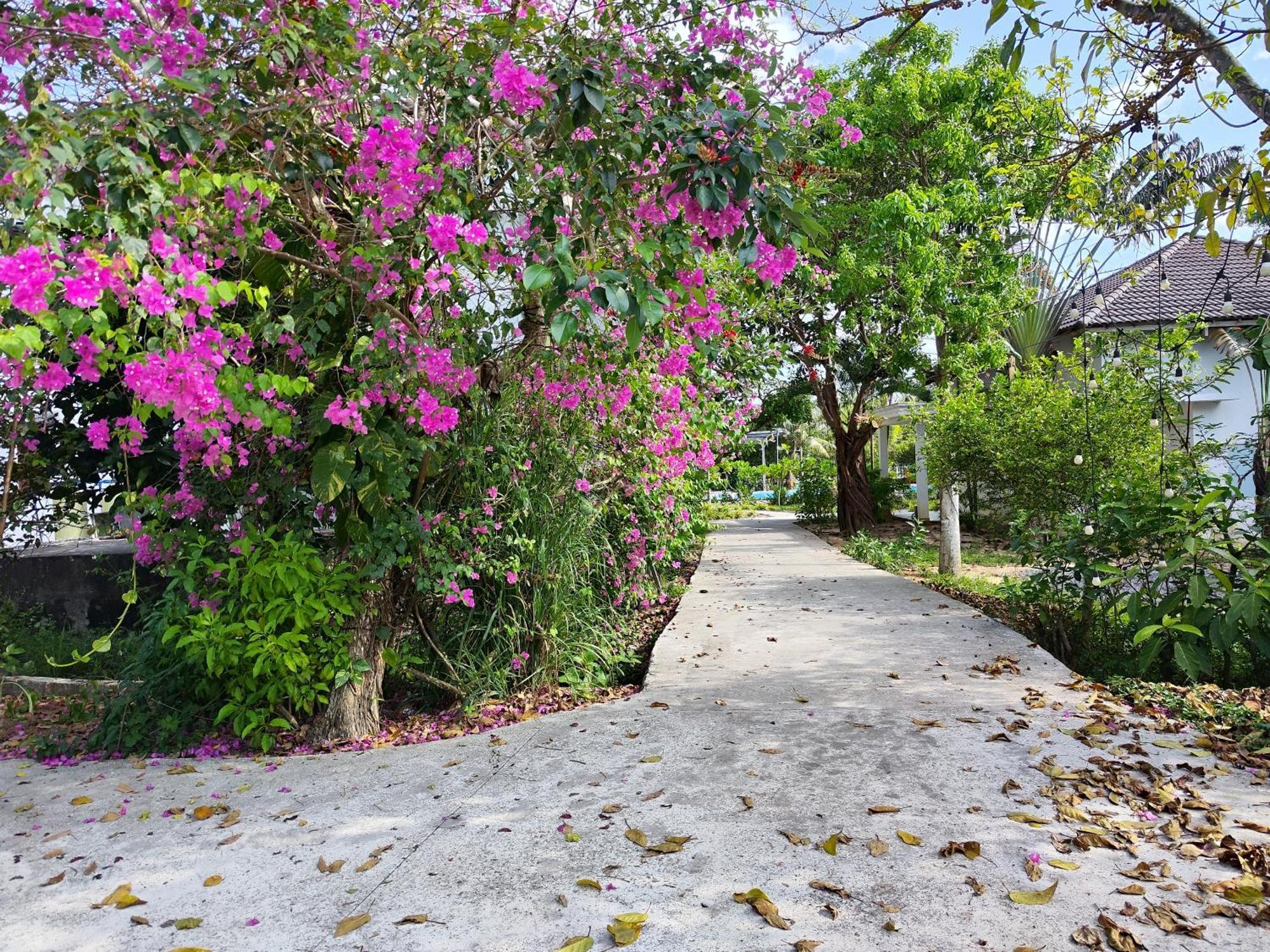 Y Village Resort Που Κουόκ Εξωτερικό φωτογραφία