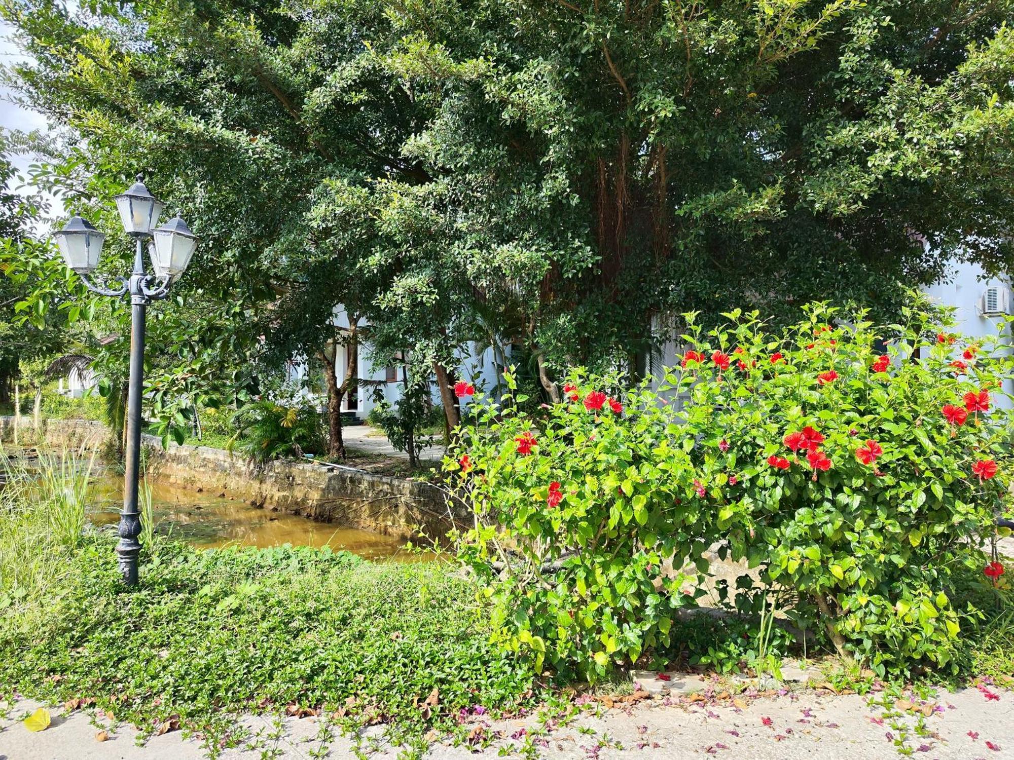 Y Village Resort Που Κουόκ Εξωτερικό φωτογραφία